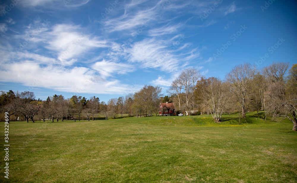 Blue sky with white clouds over a green clearing and a red village house