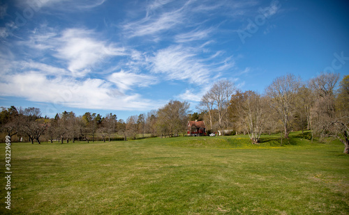 Blue sky with white clouds over a green clearing and a red village house