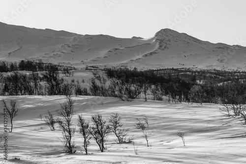 winter in the mountains