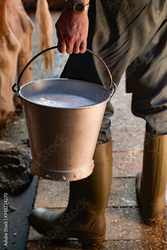 Frisch gemolken Milch in Stall eines Bauernhofs photo