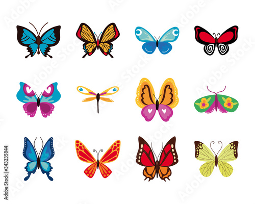 bundle of butterflies set icons © Gstudio