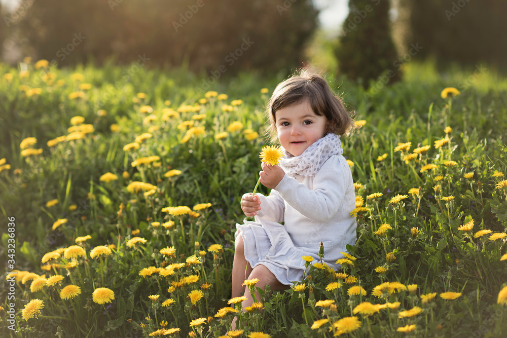 cute little young happy todler girl sitting in grass dandelion field cute little young happy todler girl sitting in grass dandelion field