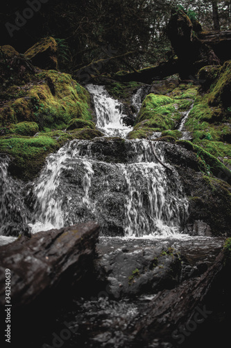 small waterfall in the forest