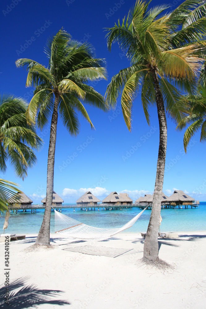 Obraz premium Tropical beach background as summer landscape with beach swing or hammock and white sand and calm sea for summer vacation at a beach resort in the tropics. Perfect beach scene vacation and holidays.