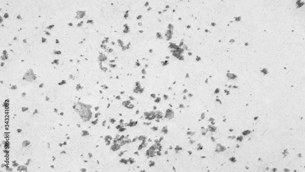 Animated crumbs texture designed for blending and looping in After Effects Animated crumbs texture designed for blending and looping in After Effects