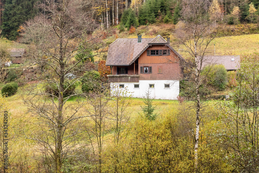 Typical german houses in Black Forest