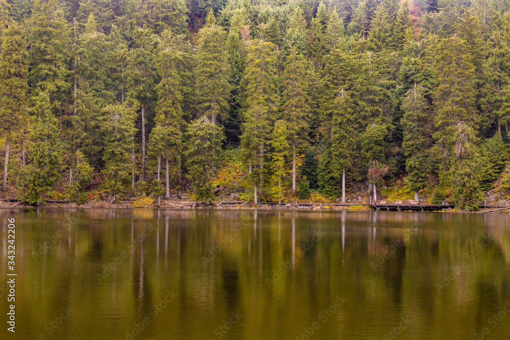 Mummelsee lake and Trail in Black Forest