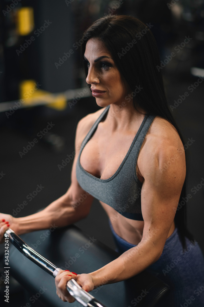 Fitness woman on training. Young woman in the gym. Fitness woman on training. Young woman in the gym.