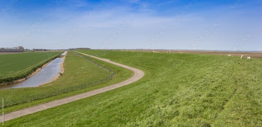 Panorama of a dike in the landscape of Groningen, Netherlands