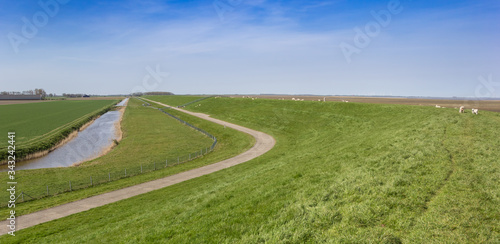 Panorama of a dike in the landscape of Groningen, Netherlands