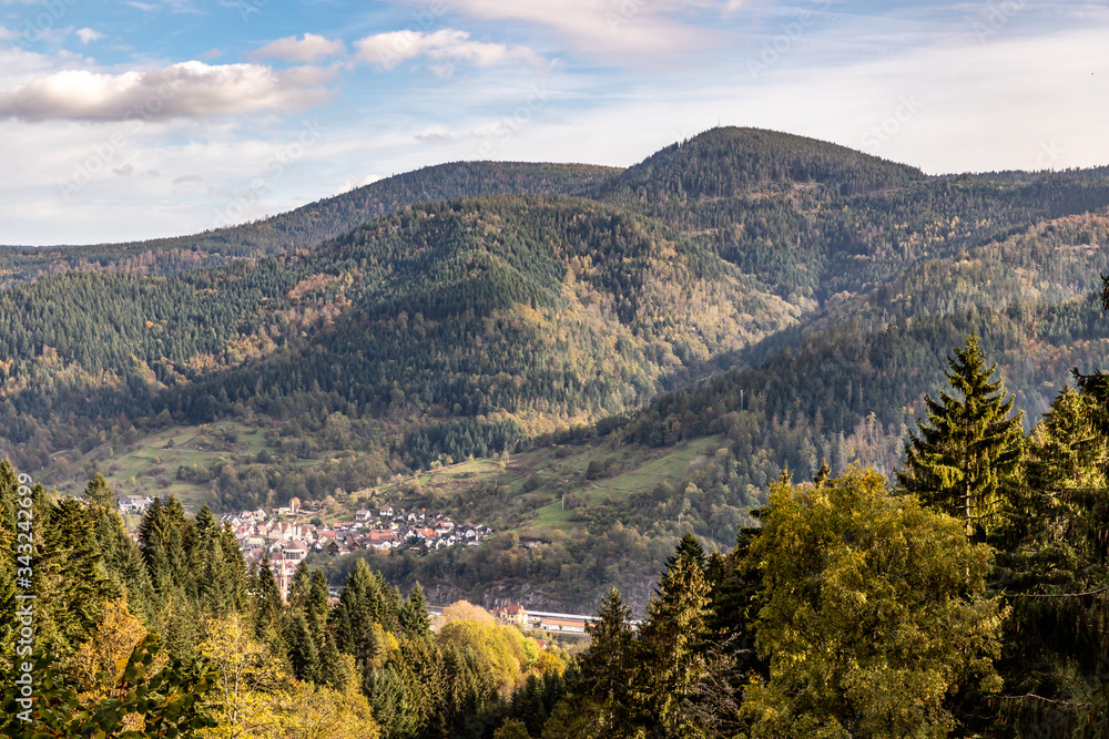 City view of Forbach village and Black forest trees