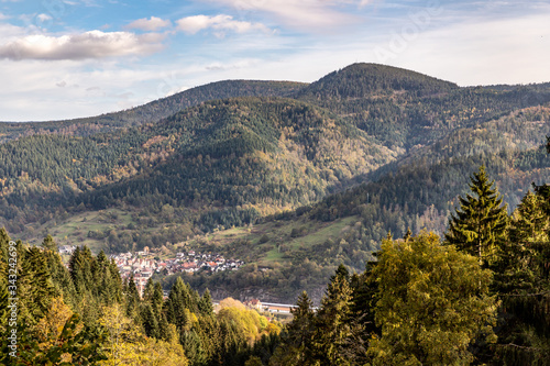 City view of Forbach village and Black forest trees