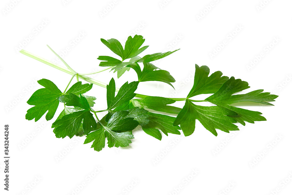 fresh parsley isolated on white