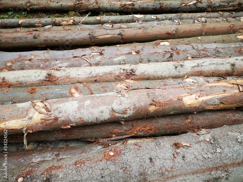 Stacked, cut trunks of trees 