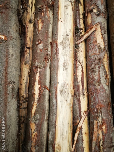 Stacked, cut trunks of trees 