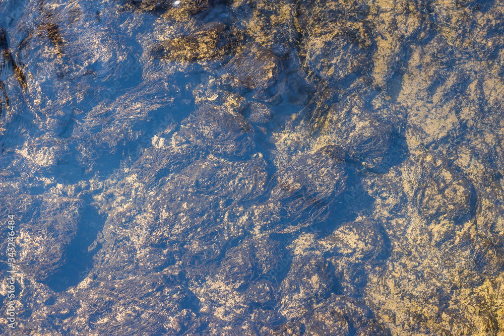 Bluish sheen of clear water and seaweed at the bottom of the creek
Bluish sheen of clear water and seaweed at the bottom of the creek