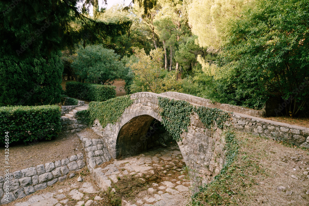 A stone bridge. Ancient bridge of paving with ivy over the mountain river. The area of Milocher Park, originally from Sveti Stefan Island, Montenegro
