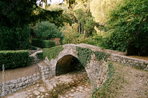 A stone bridge. Ancient bridge of paving with ivy over the mountain river. The area of Milocher Park, originally from Sveti Stefan Island, Montenegro © Nadtochiy