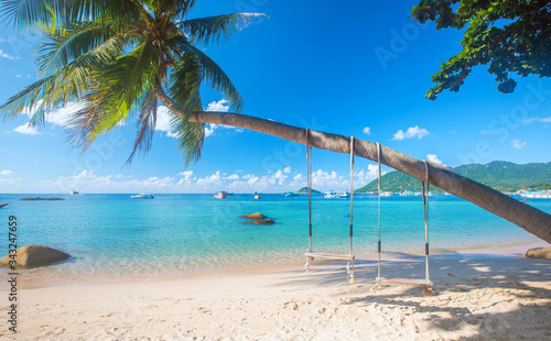  beach with coconut palm trees and swing, koh Tao. Thailand