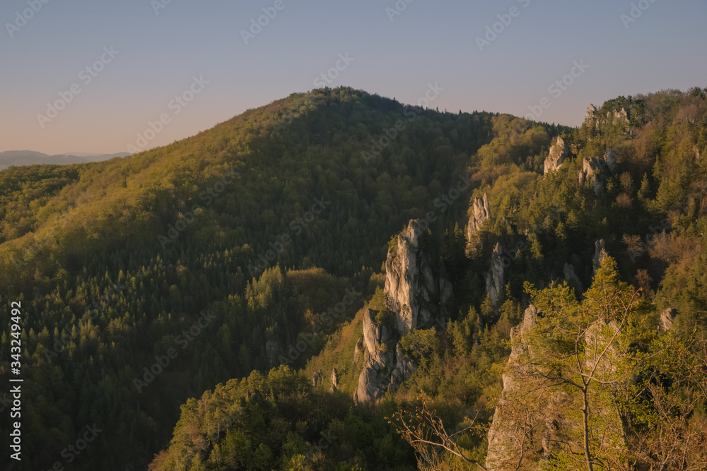 View of the valley, where rocks protrude between the trees from the slope of the mountain.