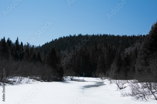 Rivière printanière en forêt canadienne, au Québec © Gilles Rivest