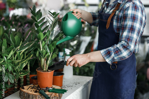 Cropped image, worker man in apron watering flower plants, usegreen waterinf can in flowers cente photo