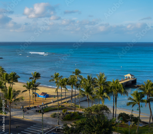 Hawaii Beaches and Palm Trees 