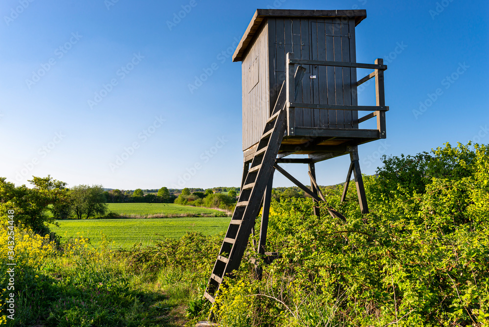 A wooden pulpit of a hunter standing in a rape field on a beautiful spring day with a blue sky background.