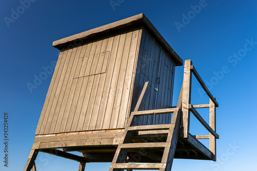 Wallpaper Mural A wooden pulpit of a hunter standing in a rape field on a beautiful spring day with a blue sky background. Torontodigital.ca