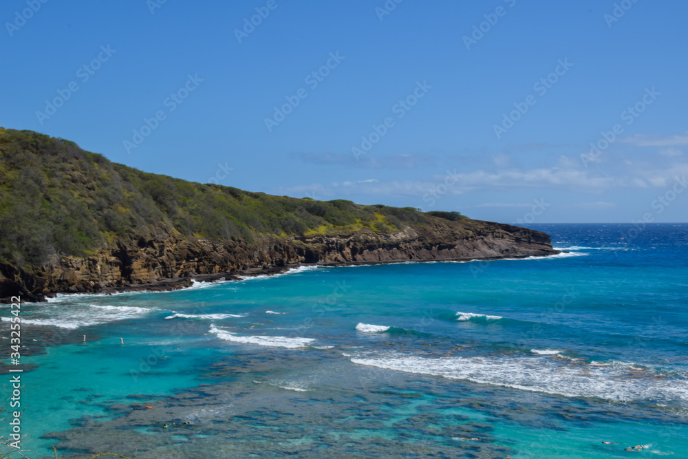 Fototapeta premium Hawaii Beaches with Palm Trees 