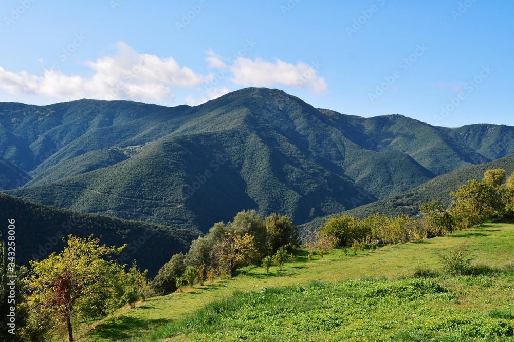 Verde paisaje del Montseny