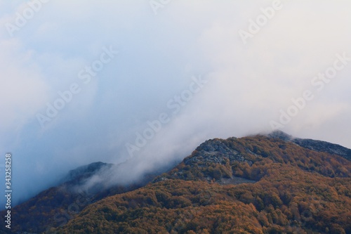 Cloudy day in Montseny