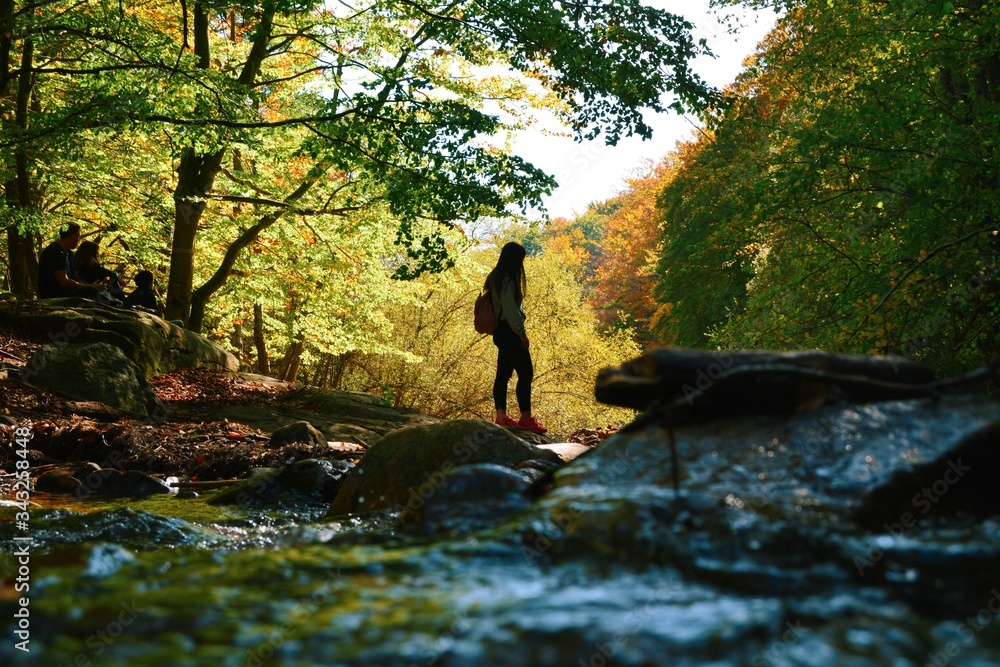 Obraz premium Montseny's river