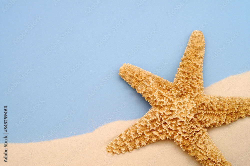 Starfish with sand on blue background Summer background with copy space ...