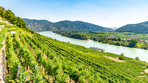 Sunny day in Wachau Valley. Landscape of vineyards and Danube River, Austria