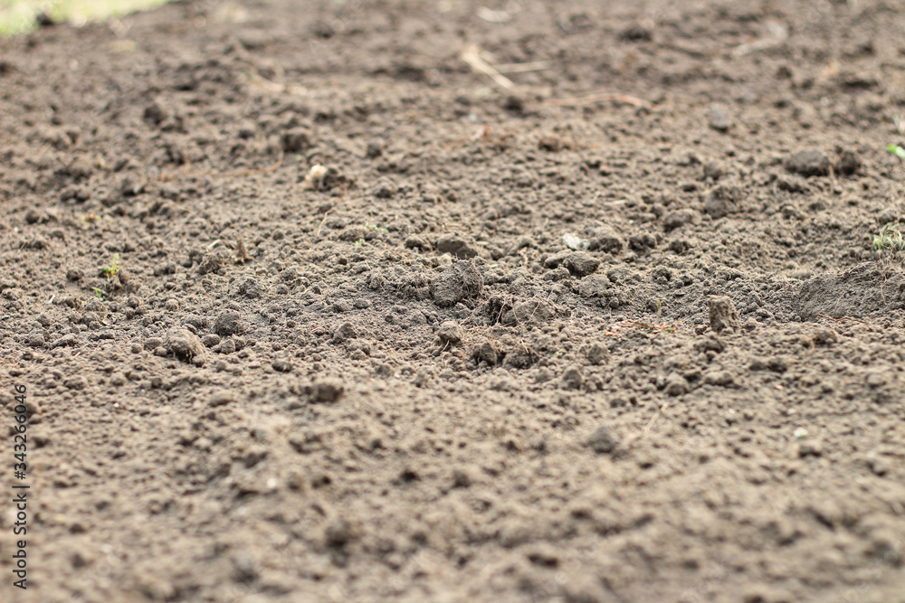 Selective focus of the soil, blurry edges, side view Selective focus of the soil, blurry edges, side view