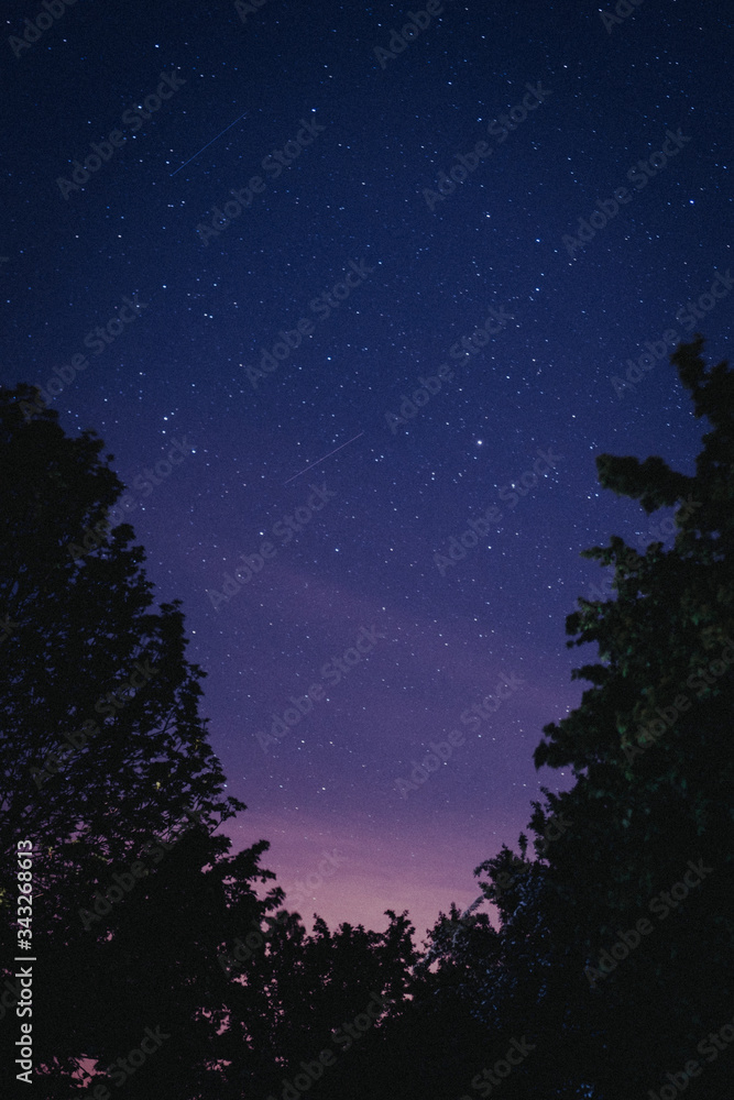Fototapeta premium beautiful view at night through trees to the stars. 2 falling stars.