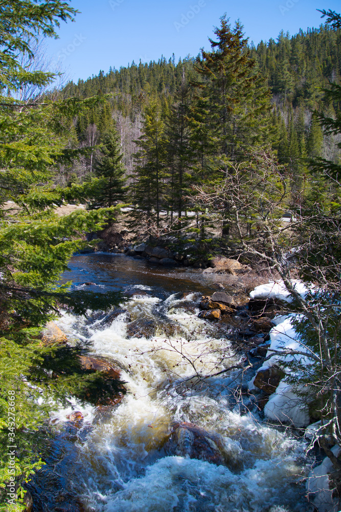 Rivière du printemps en forêt canadienne, au Québec Rivière du printemps en forêt canadienne, au Québec