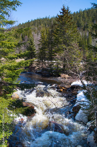 Rivière du printemps en forêt canadienne, au Québec