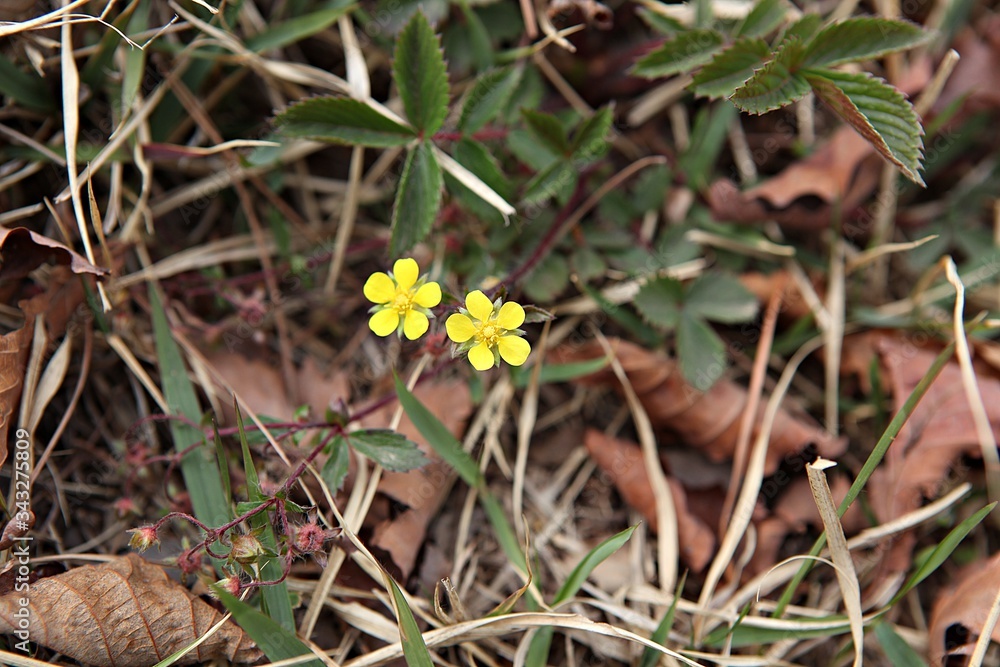 한국 인천시 강화군 전등사 입니다