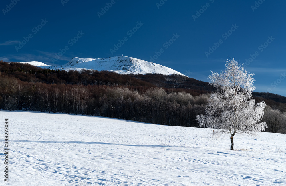 Frosty winter morning in the mountains. View of Tarnica - the highest peak of the Bieszczady Mountains in Poland (1,346 m a.s.l.). Bieszczady National Park, Subcarpathian Voivodeship.