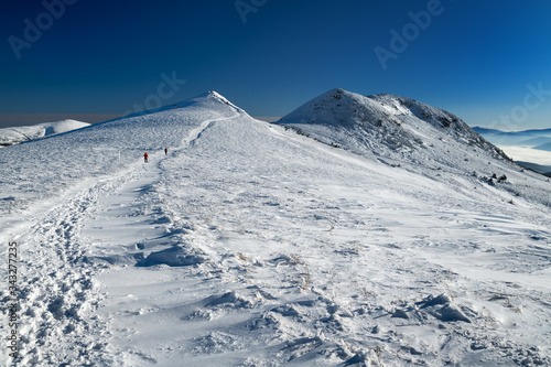 Fototapeta Naklejka Na Ścianę i Meble -  Frosty winter morning in the mountains. View of Szeroki Wierch and Tarnica (the highest peak of the Bieszczady Mountains in Poland - 1,346 m a.s.l.). Bieszczady National Park.
