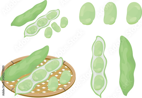 Illustration set of fava beans and basket on white background.