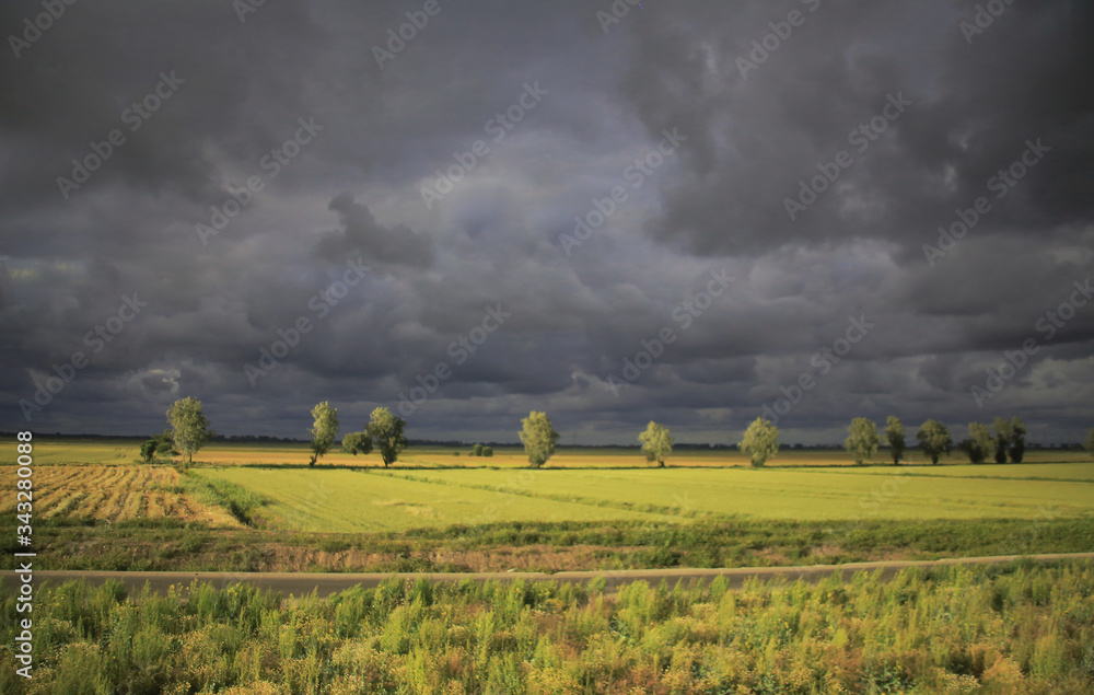 Fototapeta premium Bad weather over the field ( Connecticut, USA )