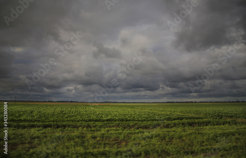 cloudy day on the field ( Connecticut, USA )