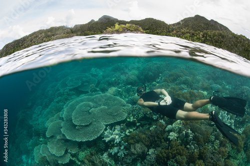 A snorkeler explores the healthy coral reefs that abound throughout Raja Ampat, Indonesia. This remote, tropical region may contain the greatest marine biodiversity on Earth.