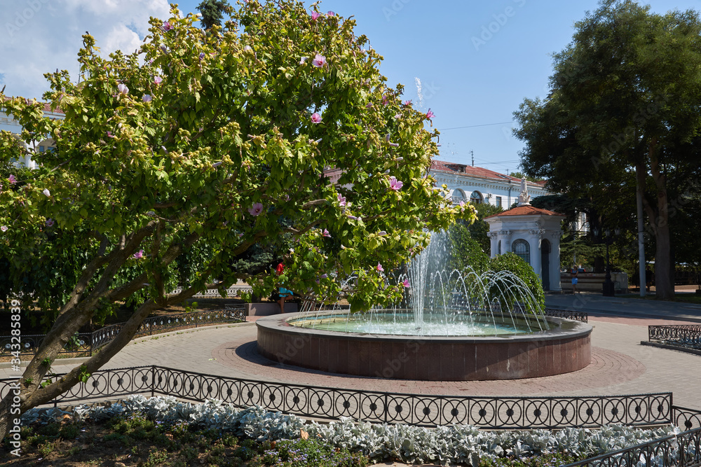 Fountain in the city park. Blooming tree. Shady Alley, Sevastopol