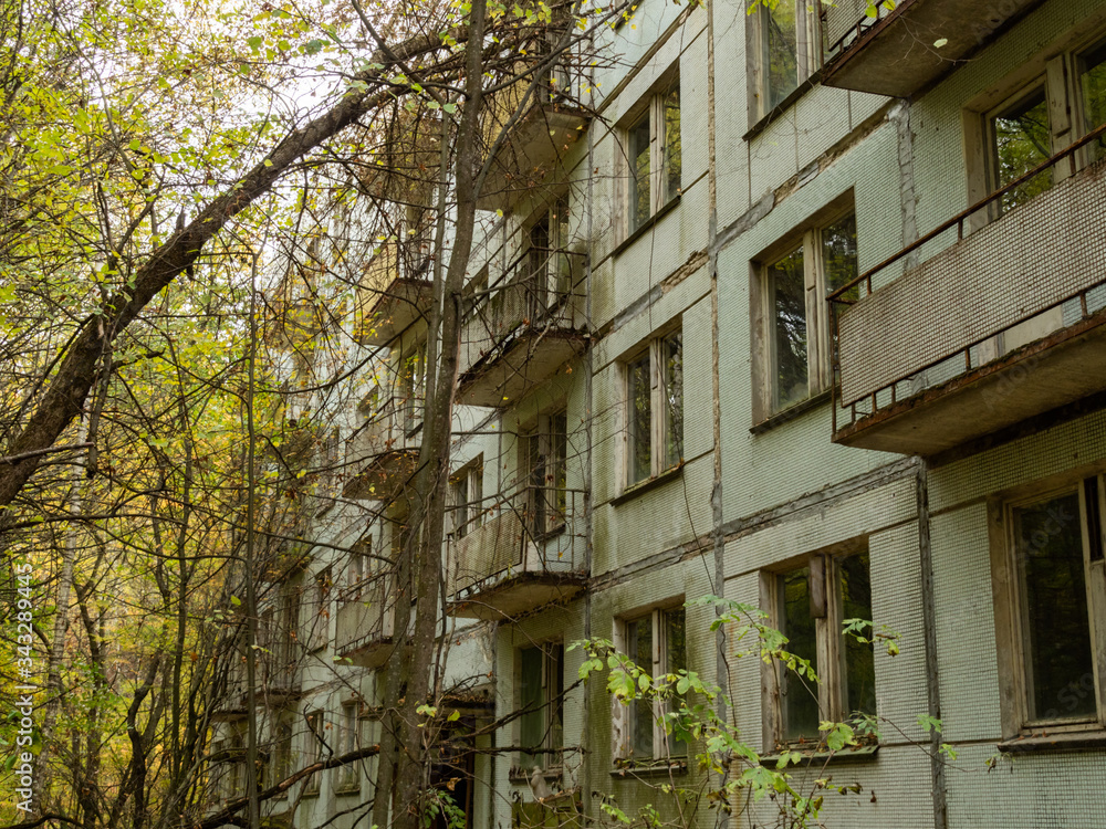 Fototapeta premium Abandoned residential building. Previous roads and alleys are taken by trees and bushes. Ghost town of Pripyat, Chernobyl Exclusion Zone. Ukraine.