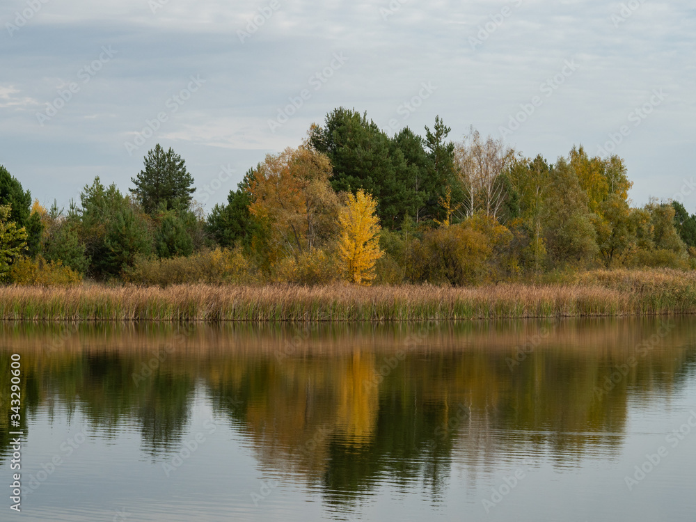 Autumn landscape lake in Pripyat, Chernobyl Exclusion Zone in Ukraine