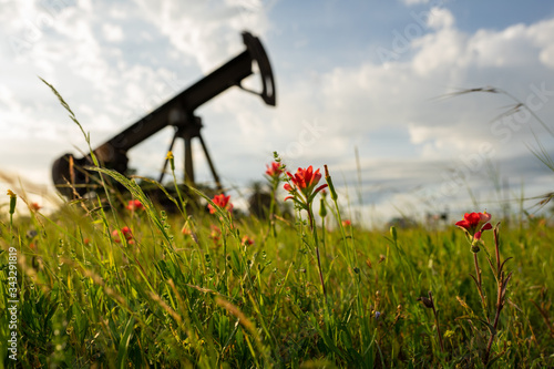 Slika na platnu An antique oil drill in a field of beautiful flowers in Texas